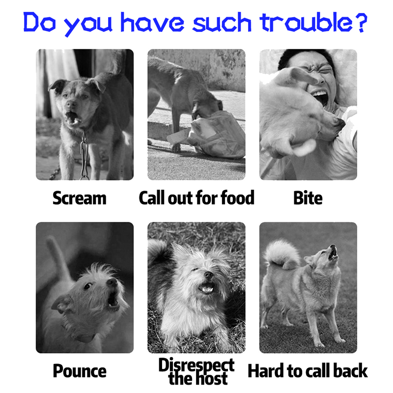 Load image into Gallery viewer, PORIYA Anti Bark Pet Dog Training Collar Remote Control Obedience Collar E-Collar USB