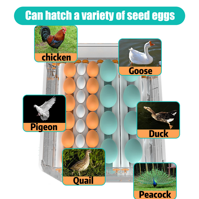Load image into Gallery viewer, PORIYA 64 Eggs Digital Egg Incubator LED Fully Automatic Turning Chicken Duck Poultry