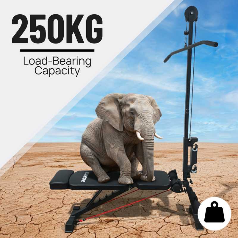 Load image into Gallery viewer, PORIYA 9In1 Foldable Adjustable Weight Bench Fitness Bench Adjustable Bench Gym