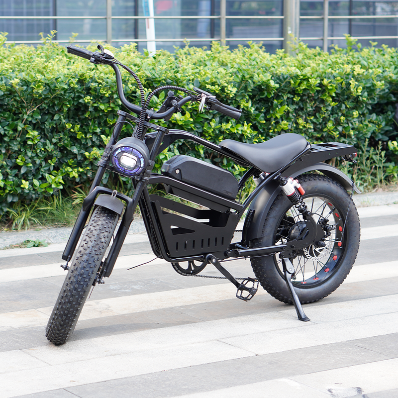 Load image into Gallery viewer, PORIYA Electric Bicycle Ebike 48V 2000W Mountain Bike 20" Fat Tire Shimano 7 Speed