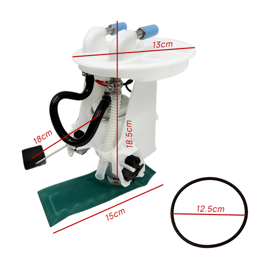 PORIYA Fuel Pump Module Assembly for Ford Falcon Fairlane Fairmont LTD AU EL 1998-2002