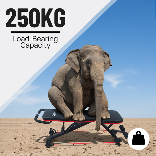 PORIYA Adjustable Dumbbell Weight Bench Full Body Workout Foldable Incline Decline Gym