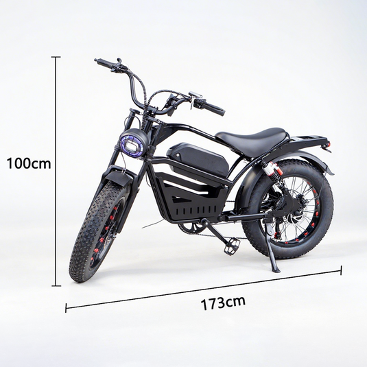 PORIYA Electric Bicycle Ebike 48V 2000W Mountain Bike 20