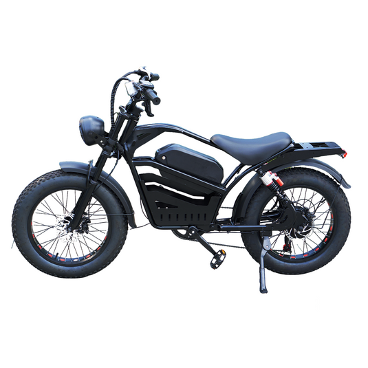 Electric Bicycle Ebike 48V 2000W Mountain Bike 20
