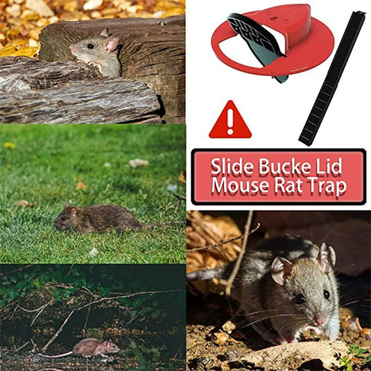 PORIYA Mouse Trap Flip N Slide Bucket Lid Mouse Rat Trap With Ladder Mouse trap Catche