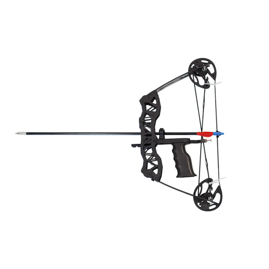 40lbs Archery Bow and Arrow Compound Bow With Bow Sight & Arrow Set For Hunting