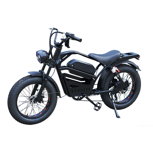 Electric Bicycle Ebike 48V 2000W Mountain Bike 20