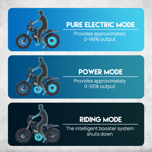Electric Bicycle Ebike 48V 2000W Mountain Bike 20" Fat Tire Shimano 7 Speed