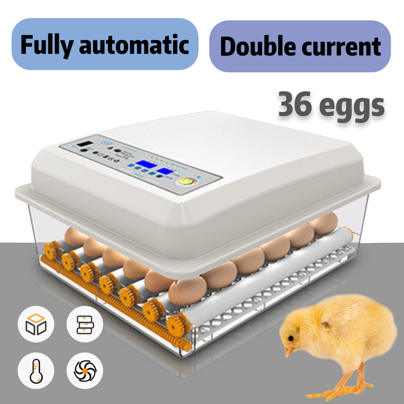 Load image into Gallery viewer, PORIYA 64 Eggs Digital Egg Incubator LED Fully Automatic Turning Chicken Duck Poultry
