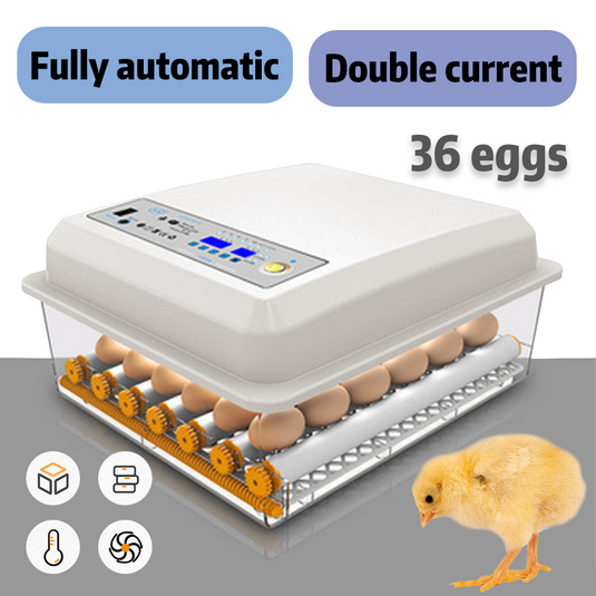 PORIYA 64 Eggs Digital Egg Incubator LED Fully Automatic Turning Chicken Duck Poultry
