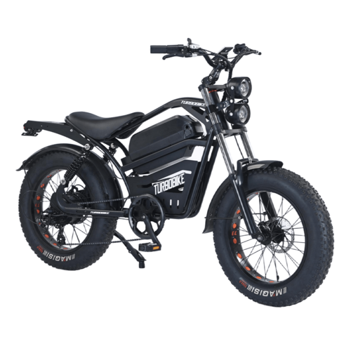 Electric Bicycle Ebike 48V 2000W Mountain Bike 20
