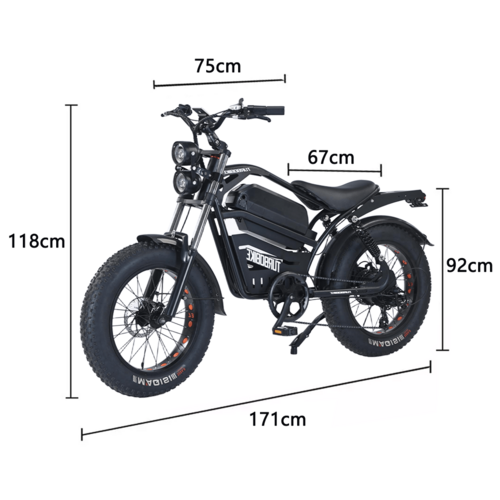Load image into Gallery viewer, Electric Bicycle Ebike 48V 2000W Mountain Bike 20&quot; Fat Tire Shimano 7 Speed
