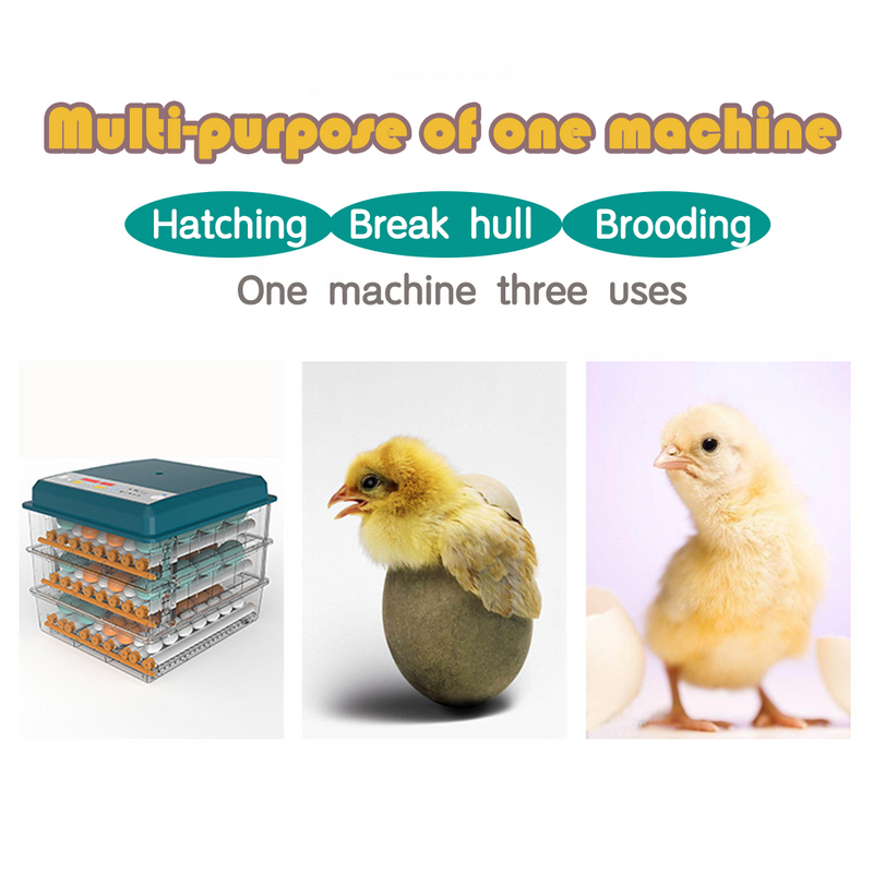 Load image into Gallery viewer, PORIYA 64 Eggs Digital Egg Incubator LED Fully Automatic Turning Chicken Duck Poultry
