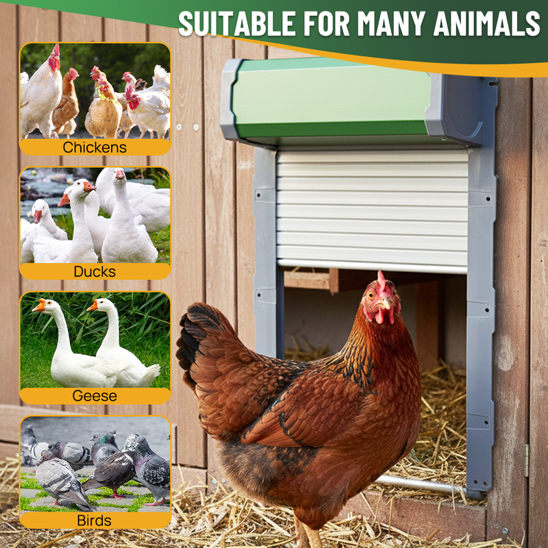 Load image into Gallery viewer, PORIYA Solar Chicken Coop Door Opener Automatic Timer Auto Light Sensor Remote Control
