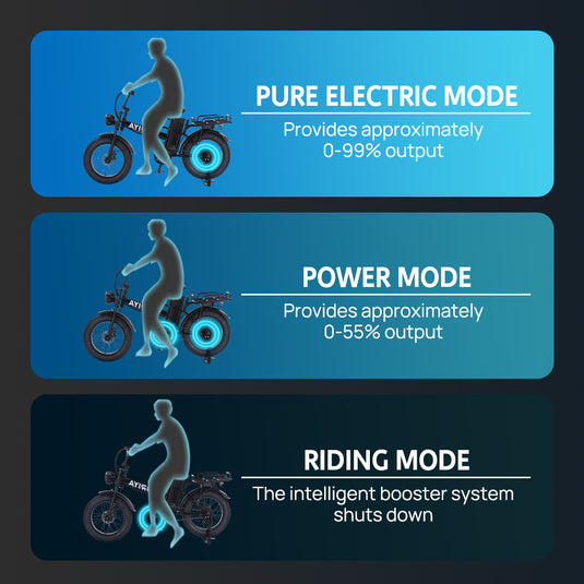 Electric Bicycle 48V 18Ah Ebike 1500W Mountain Bike 20'' 55KM/H W/ Delivery Rack