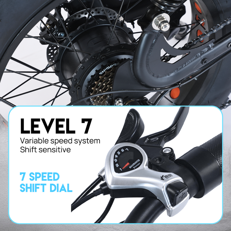 Load image into Gallery viewer, PORIYA Electric Bicycle Ebike 48V 2000W Mountain Bike 20" Fat Tire Shimano 7 Speed
