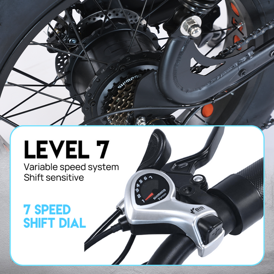 PORIYA Electric Bicycle Ebike 48V 2000W Mountain Bike 20" Fat Tire Shimano 7 Speed