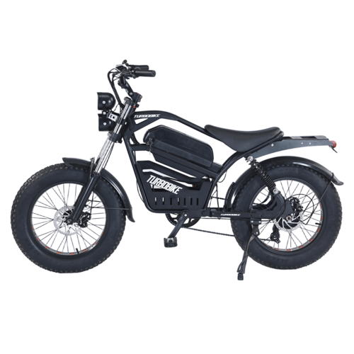 Electric Bicycle Ebike 48V 2000W Mountain Bike 20
