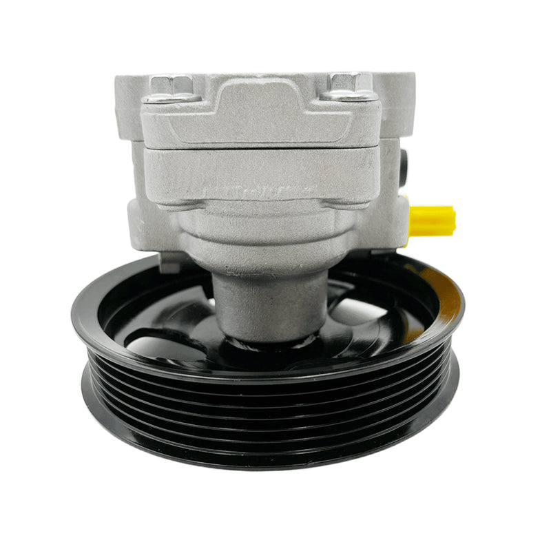 Load image into Gallery viewer, PORIYA Power Steering Pump &amp; 138MM Pulley For Holden Commodore VZ VE V6 V8 SV6 SS 05-13
